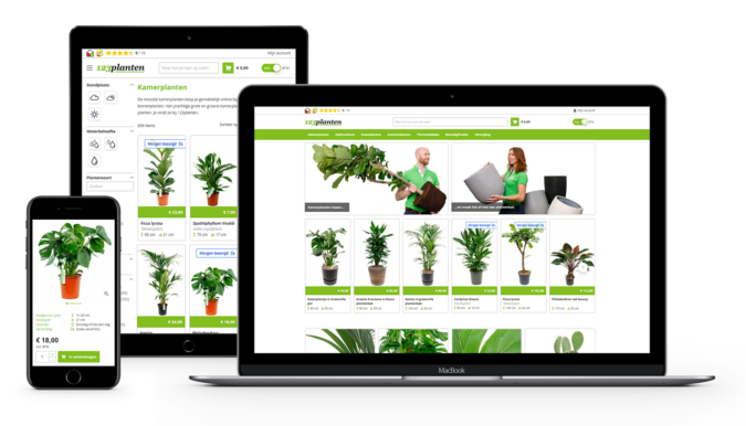 Het grootste aanbod kamerplanten online Het grootste aanbod kamerplanten online