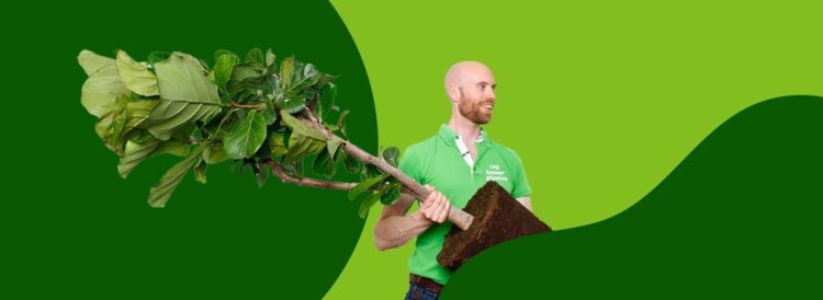123planten 123planten